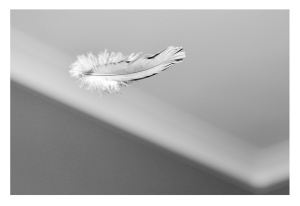 Light as a feather-resized-a